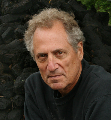 biography the photography of steve gottlieb larry gottlieb